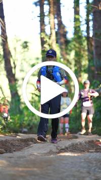 BIB:  <button type="button" onclick="openModal(26788186)" class="btn btn-primary btn-sm float-right" data-toggle="modal" data-target=".modal-high-quality">
                <i class="fa fa-download"></i> Download
                </button>